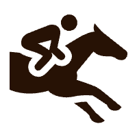 Recurring boot chafing on competition fetlocks