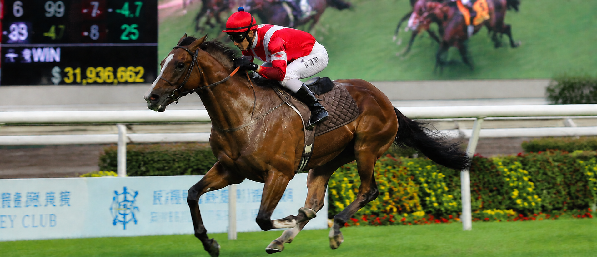 Silicone Horse Muzzle Pad — OEM Case Study