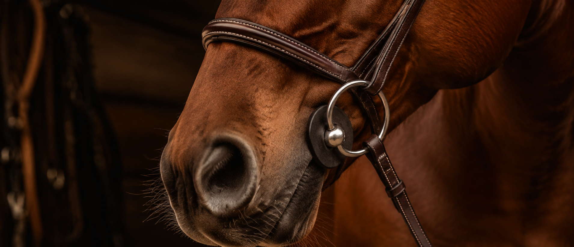Silicone Padded Bridle for Sensitive Horses — End Noseband Rubs Forever